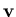 $ \bf v$