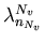 $ \lambda^{N_v}_{n_{\tiny N_v}}$